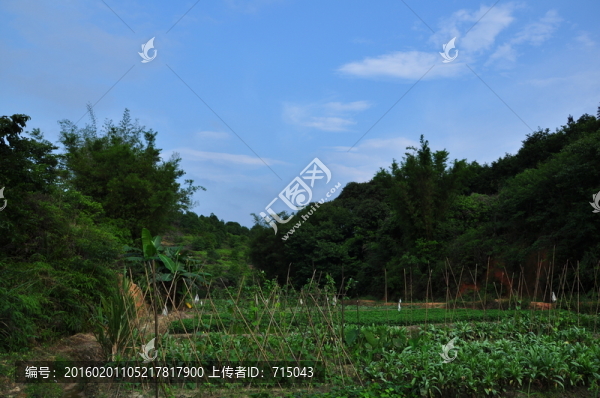 田園風(fēng)光