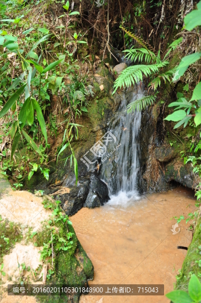 山泉