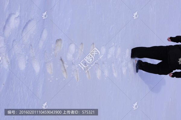 雪地腳印