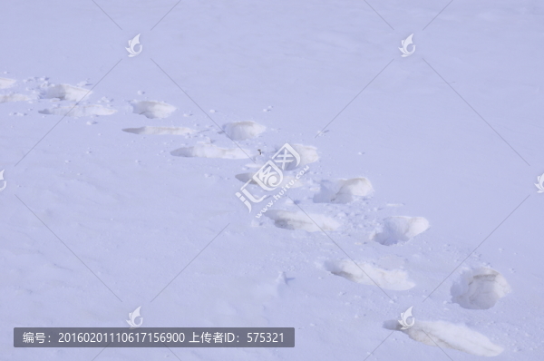 雪地腳印