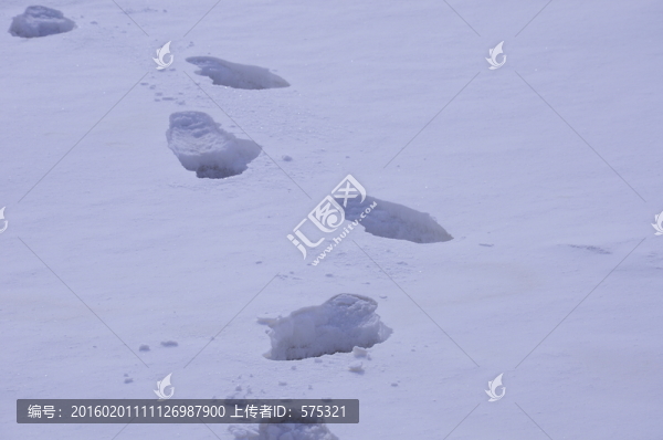 雪地腳印