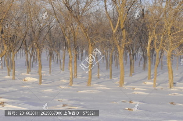 冰天雪地