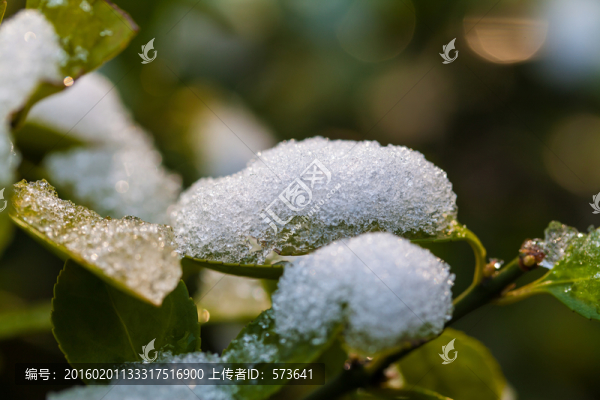 冰天雪地