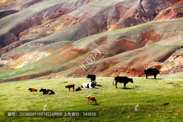 伊犁地理草原風(fēng)景