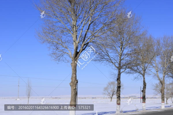 冰天雪地