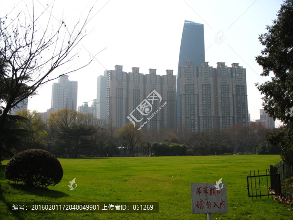 中心綠地