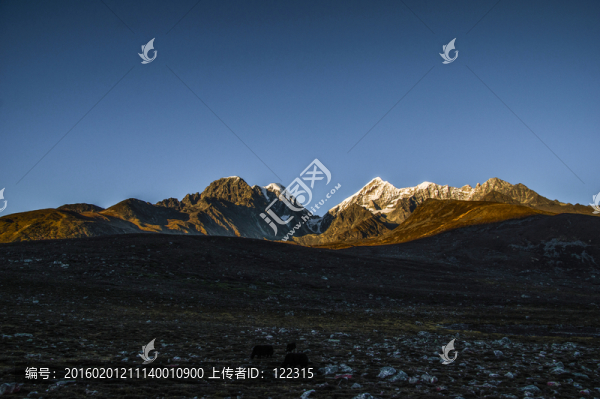 金山
