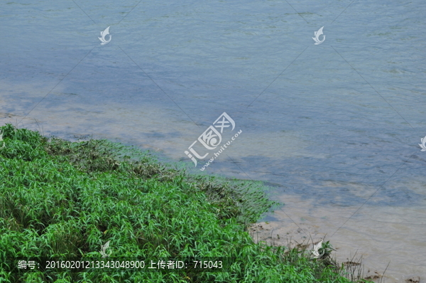 沼澤