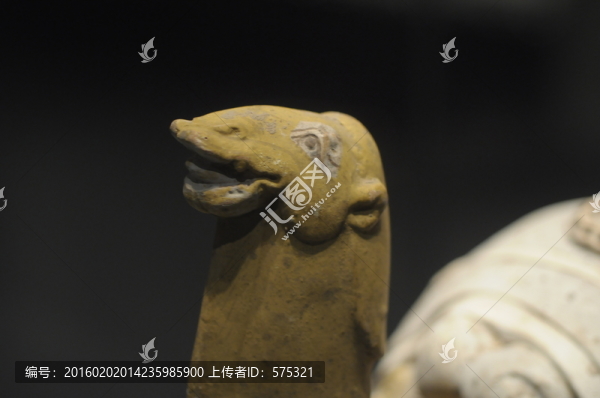陶駱駝
