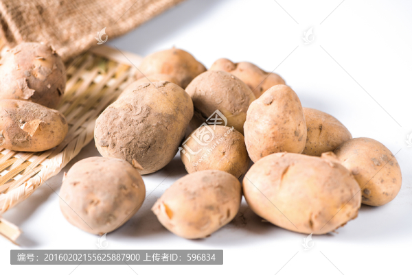 小土豆素材