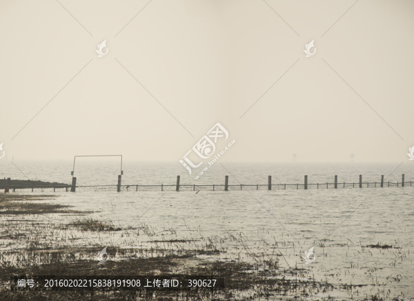 太湖黑白照片