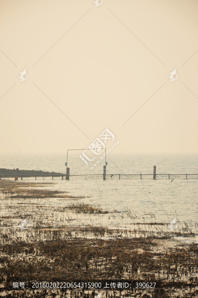 太湖
