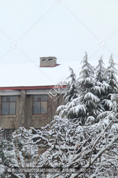 屋頂積雪