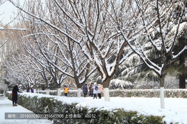 賞雪景的人
