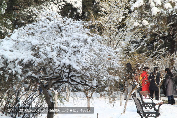 雪中西花園