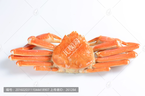 螃蟹