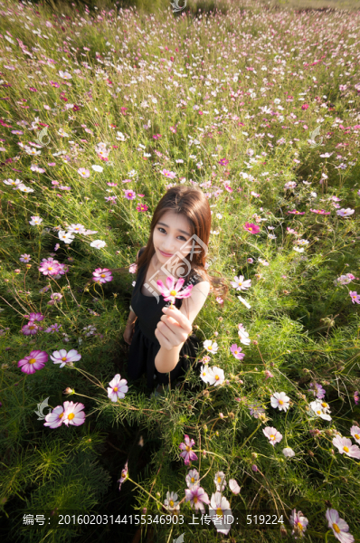 花海里的少女