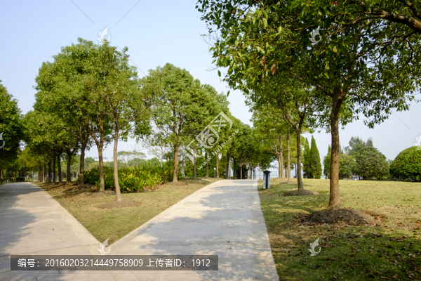 公園小路