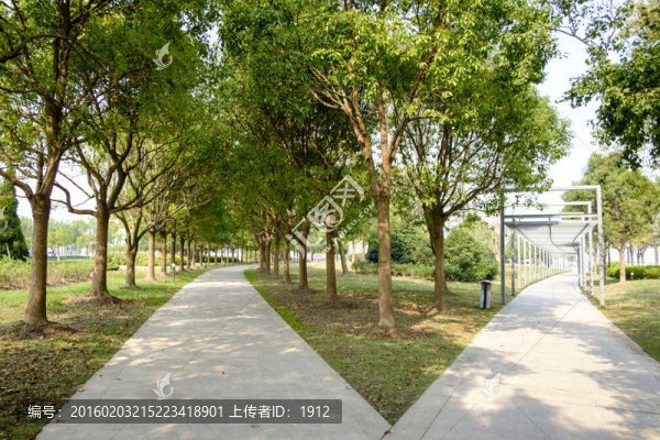 林中小路