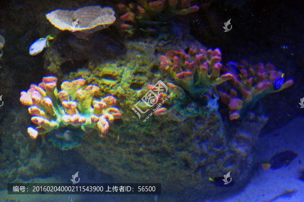 蘭州極地海洋館