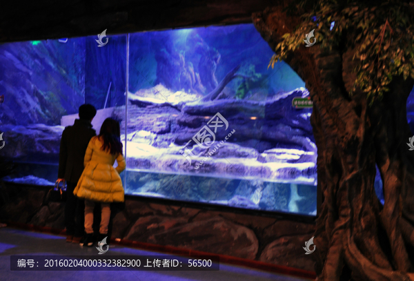 蘭州極地海洋館