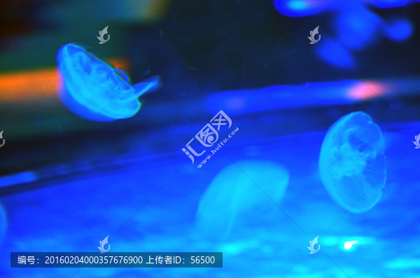 蘭州極地海洋館