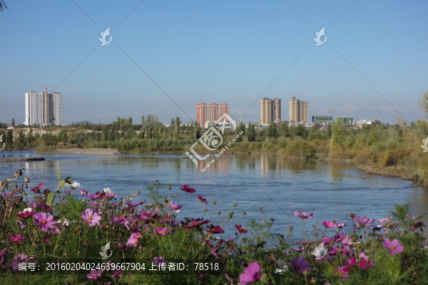 伊犁河