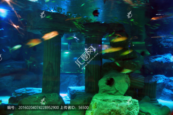 蘭州極地海洋館