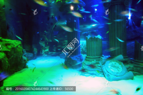 蘭州極地海洋館