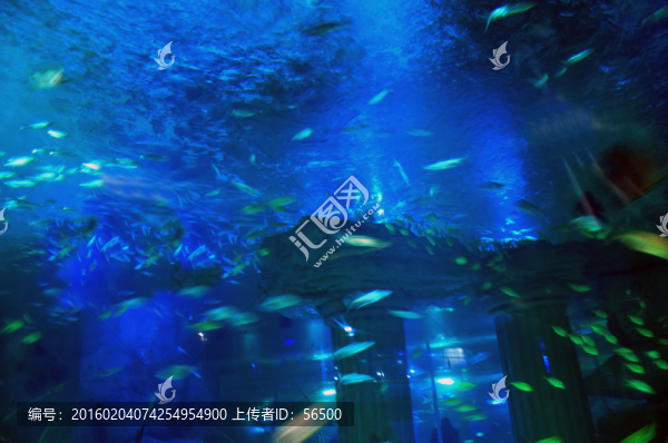 蘭州極地海洋館