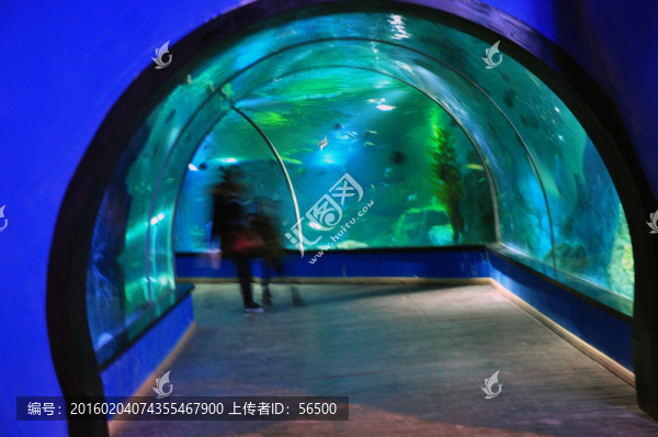 蘭州極地海洋館