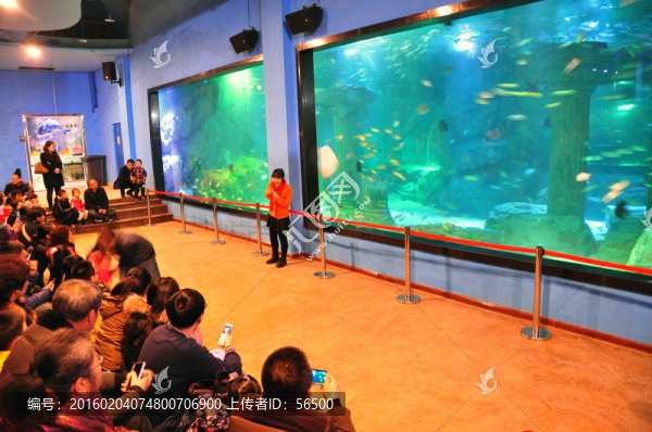 蘭州極地海洋館