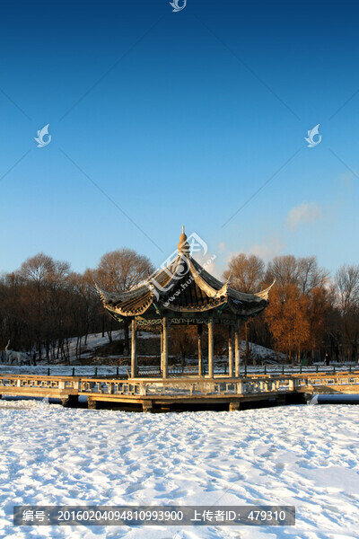 古建筑,涼亭,冰雪,冬天,白雪