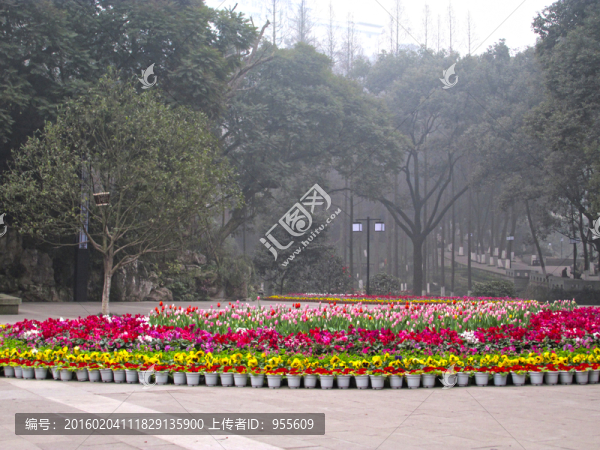 花團錦簇