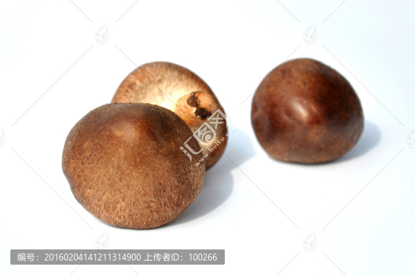 新鮮香菇