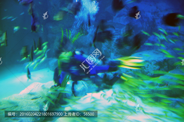 蘭州極地海洋館