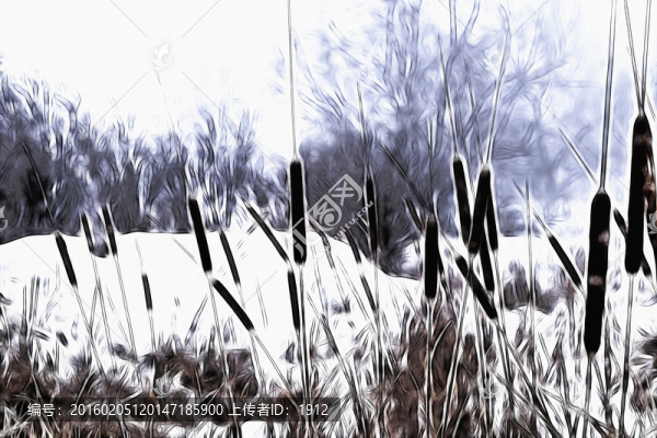 曠野-匯圖網(wǎng) www.fosd68.com 曠野