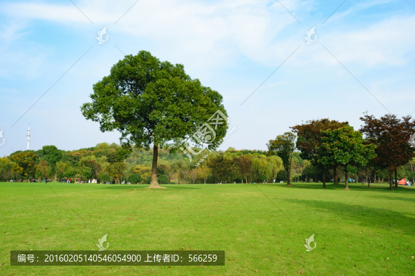城市綠地