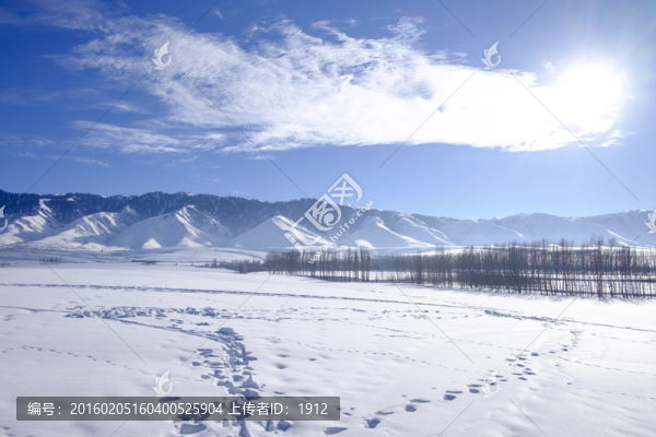 冬雪