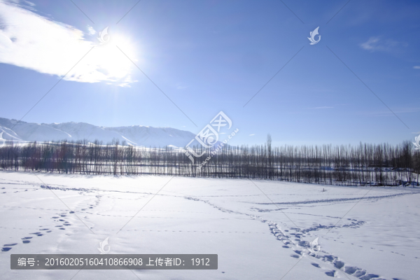 雪景