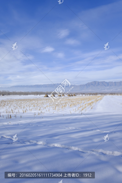 雪景