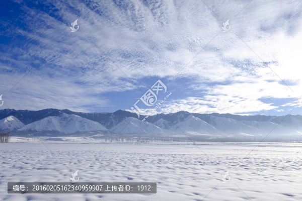 冬雪