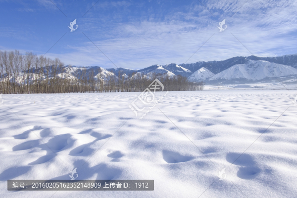 冬雪