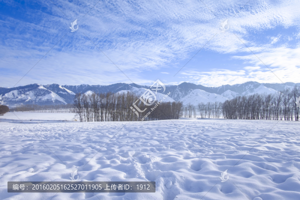 雪景