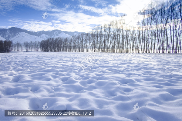 雪景