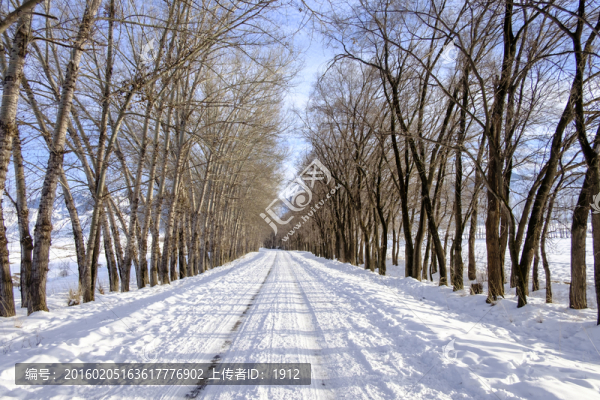 小路