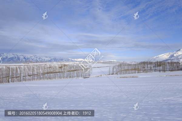 冬雪