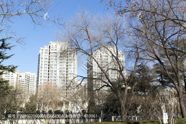 公園冬天