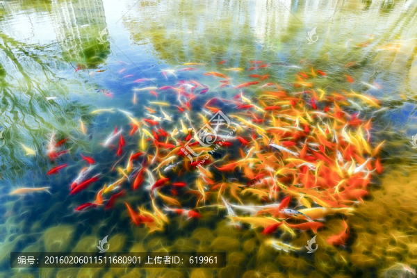 裝飾畫(huà),魚(yú)群