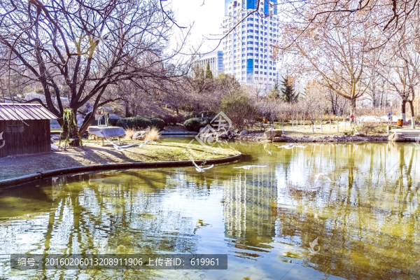 公園冬天